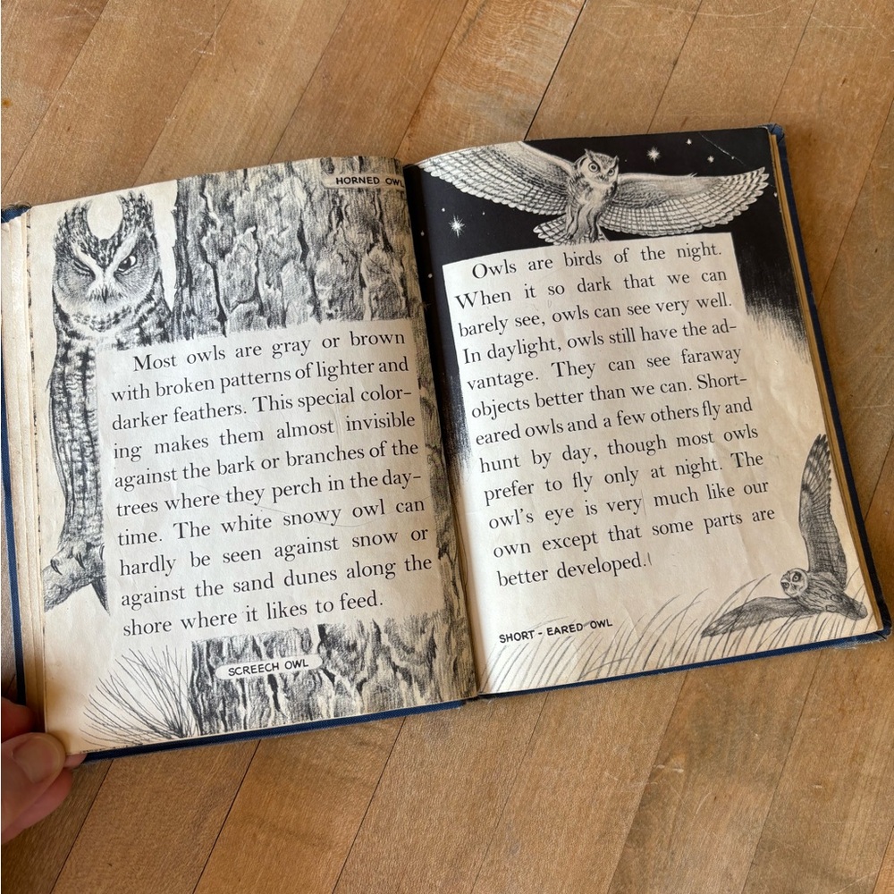 Vintage 60’s Owl Book - Picture 5 of 13